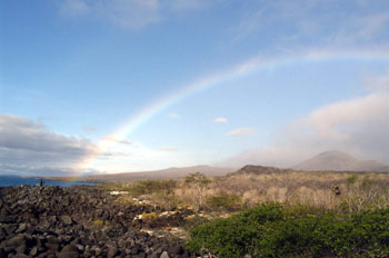 Arcoiris sobre un bosque de palosanto, Ecuador