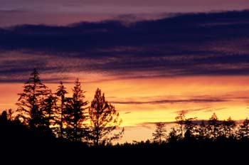 Atardecer en Victoria, Canadá