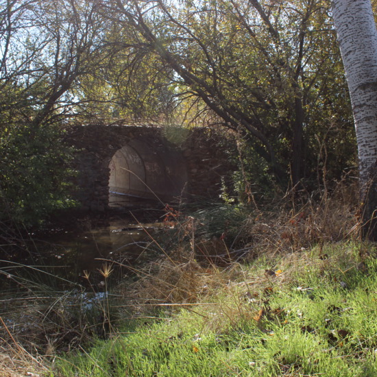 Julio Sánchez Blázquez mel foto 2 concurso fotografia Ies Satafi