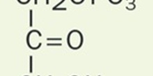 Dihidroxicetonafosfato