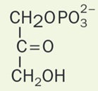 Dihidroxicetonafosfato