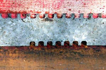 Entrada de una colmena