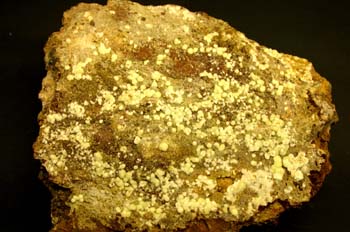 Carbonato-fluorapatito (Barcelona)