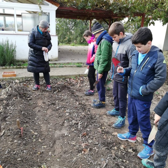 Albergue 5º- 2º día 27