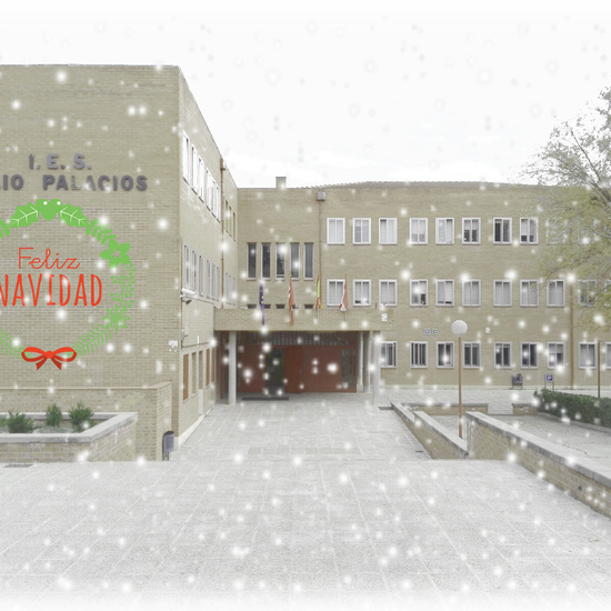 FELIZ NAVIDAD 2019 IES JULIO PALACIOS 2