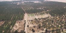 Palmeral de Douz, Túnez