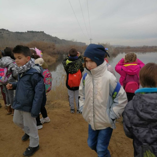 Salida por las  Lagunas de Velilla 11