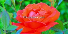 The Seasons's Past