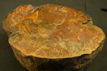 ópalo, var. xilópalo (Guadalajara)