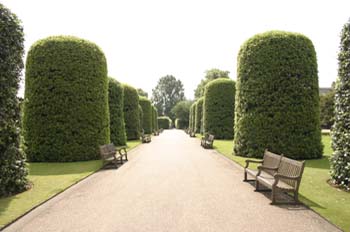 Jardines de Kensington Palace, Londres