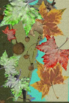 Hojas y fruto sobre tramas a contraste