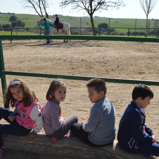 GRANJA ESCUELA ALBITANA 2018 41