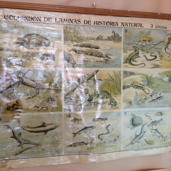 EXPOSICIÓN 50 ANIVERSARIO 40