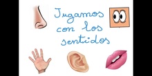 INFANTIL 3AÑOS A - JUGAMOS CON LOS SENTIDOS - FORMACION