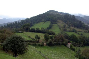 Paisaje Asturiano
