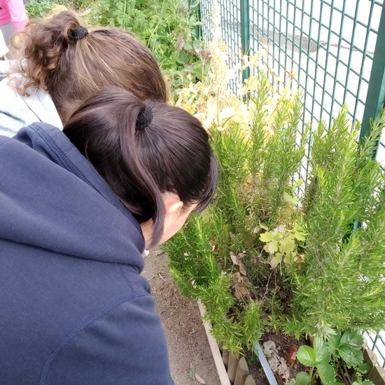 2019_06_07_Los alumnos de Quinto observan los insectos del huerto_CEIP FDLR_Las Rozas 11
