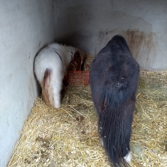 Granja de los Cuentos Infantiles I 30