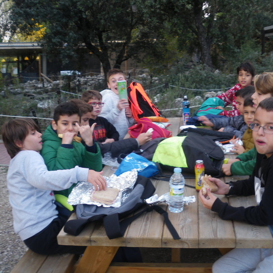 Salida 5º de Primaria al centro recuperación animal GREFA 7