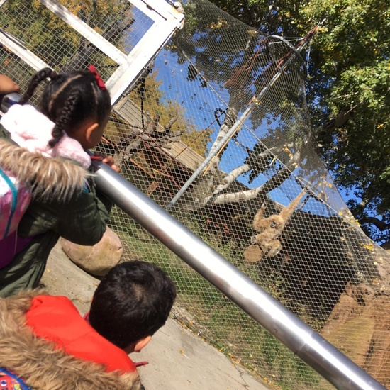 Excursión al zoo 5 años, 1º y 2º Luis Bello 24