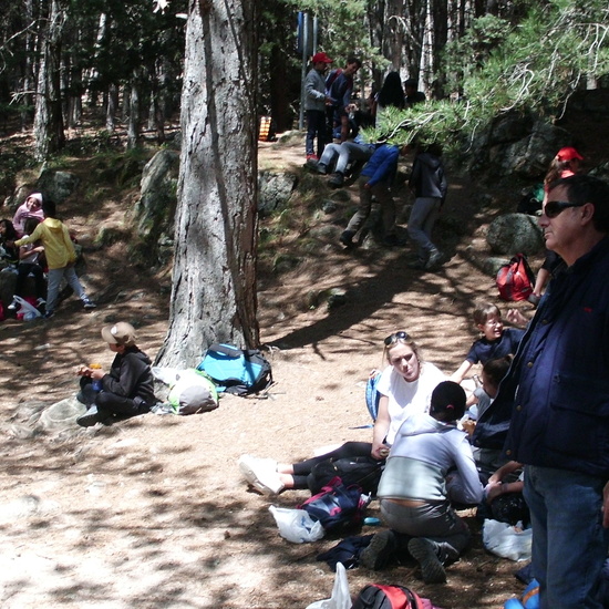 NIÑAS/OS DE 5º. NATURALEZA VIVA EN LA PEDRIZA. HOSTOS POR EL PLANETA 13