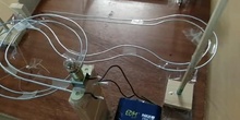 Proyecto de ciencias- Circuito