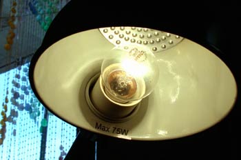 Bombilla en un flexo