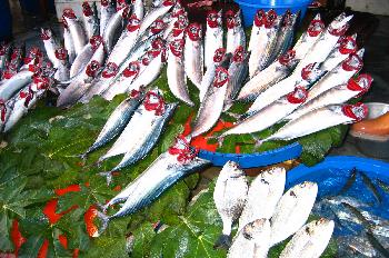 Mercado de pescado en Karaköy, Estambul, Turquía