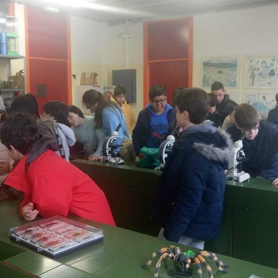 2019_03_06_Sexto visita el IES I_CEIP FDLR_Las Rozas 9