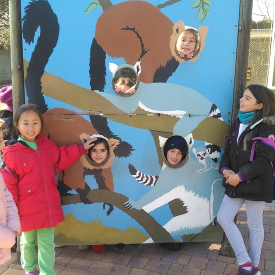 3ºE- Fotos Primer Trimestre 25