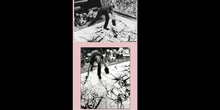 Proceso en la pintura de Pollock