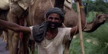 Camellero en la carretera de Delhi, India