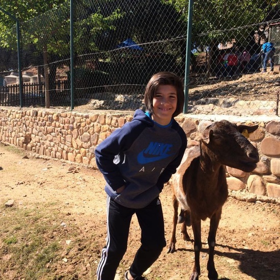 Mohernando 2017_3 41