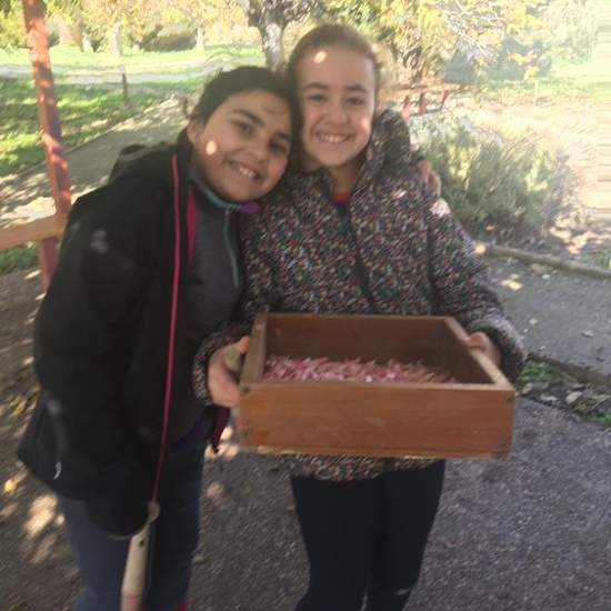 Albergue 6º - 3º día (mañana) 27