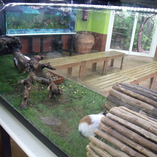 GRANJA DE LOS CUENTOS - ED.INFANTIL (Parte 2) 12