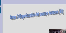 Tema 3 Organización del cuerpo humano (III)