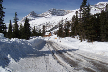 Carretera del lago Bow, Parque Nacional Banff