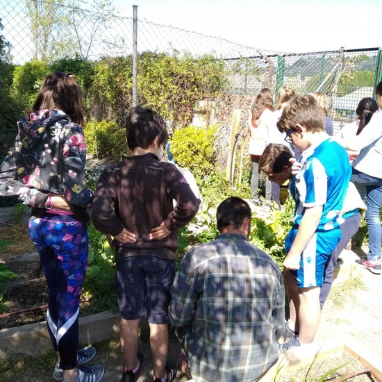 2019_04_Quinto en el huerto_CEIP FDLR_Las Rozas 6