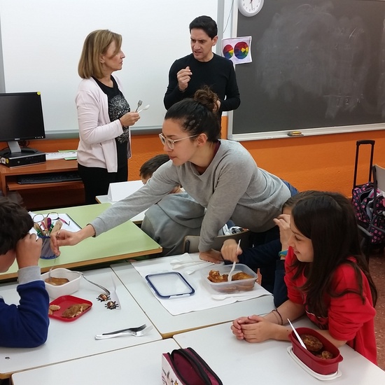 CONCURSO DE TORRIJAS, abril 2019 8