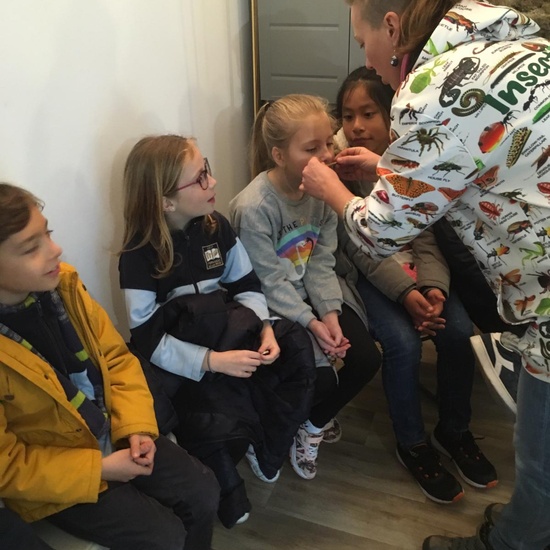 2020_02_27_3º visita Insectpark (1)_CEIP FDLR_Las Rozas 24