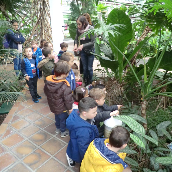 INVERNADERO DE ARGANZUELA 8