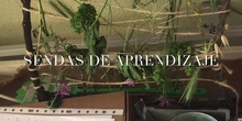 SENDAS DE APRENDIZAJE