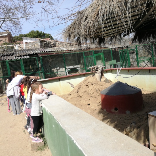 Infantil en la granja 14