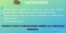 INSTRUCCIONES TAREA 5 CANVA