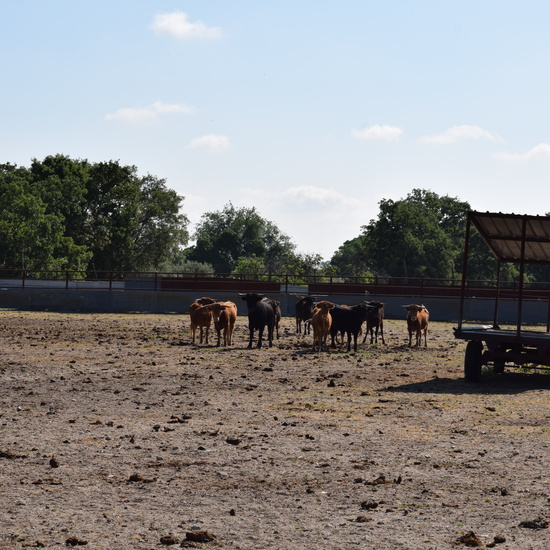 Salida en bici 4º de Primaria 14