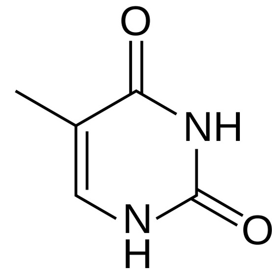 Timina