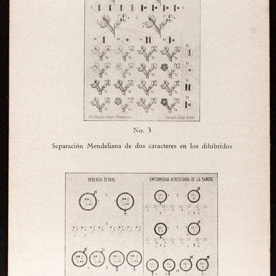 IES_CARDENALCISNEROS_CATALOGOS_021