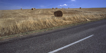 Paja recojida en el campo, Segovia, Castilla y León