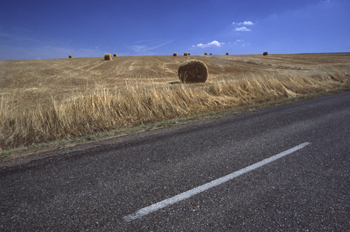 Paja recojida en el campo, Segovia, Castilla y León