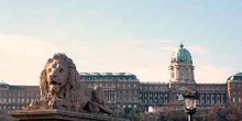 León del Puente de las Cadenas, Budapest, Hungría