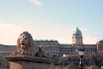 León del Puente de las Cadenas, Budapest, Hungría